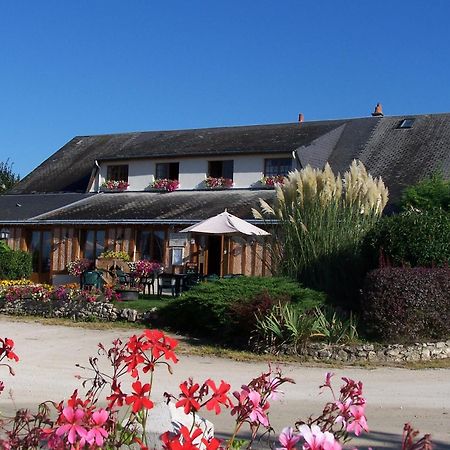 Logis Hotel Restaurant Le Vieux Fusil Soings-en-Sologne Екстериор снимка